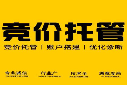 百度SEM竞价推广，案例解析转化率提升秘诀
